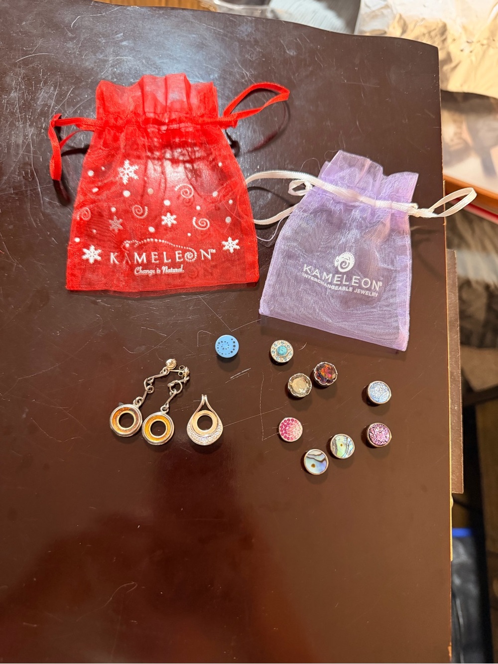 Kameleon Interchangeable Women’s Earring Set And Necklace Pendant With Pouches
